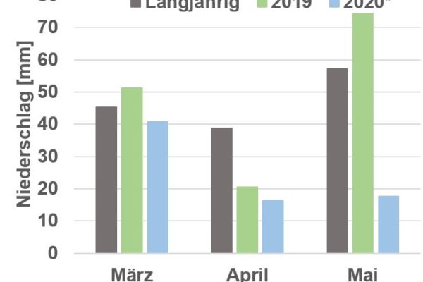 „Mai-Regen bringt Segen“